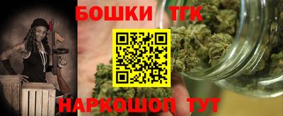 гашик Сланцы