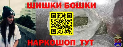 гашик Сланцы