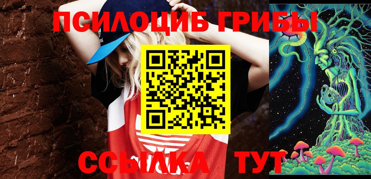 продажа наркотиков  Галлюциногенные грибы Magic Shrooms  Вход с VPN  Новошахтинск 